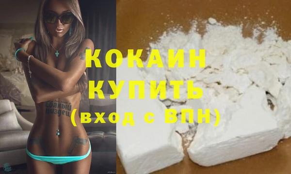 mix Богородицк