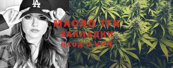 mix Богородицк