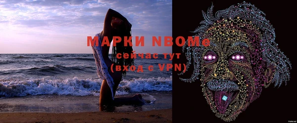 mix Богородицк