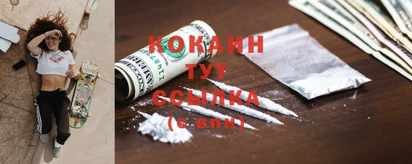 mix Богородицк