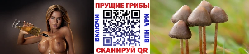 Псилоцибиновые грибы ЛСД  Верхотурье 